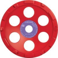 SPX epoksīdsveķu dimanta slīpēšanas disks (saderīgs ar DG/DGH 150) Izcils dimanta slīpēšanas disks instrumentam dimanta slīpēšanas instrumentam DG/DGH 150 — biezu pārklājumu, piemēram, epoksīda, noņemšanai.