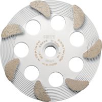 SPX smalkas apdares dimanta slīpēšanas disks (instrumentam DG/DGH 150) Izcils dimanta slīpēšanas disks dimanta slīpēšanas instrumentam DG/DGH 150 — betona un dabīgā akmens apdares slīpēšanai