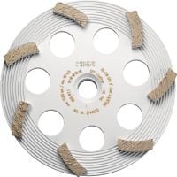 SPX dimanta slīpēšanas disks pārklājuma noņemšanai (saderīgs ar DG/DGH 150) Izcils dimanta slīpēšanas disks dimanta slīpēšanas instrumentam DG/DGH 150 – plānu pārklājumu, piemēram, krāsas un līmes noņemšanai.