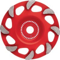 SPX smalkas apdares dimanta slīpēšanas disks (instrumentam DG/DGH 150) Izcils dimanta slīpēšanas disks dimanta slīpēšanas instrumentam DG/DGH 150 — betona un dabīgā akmens apdares slīpēšanai