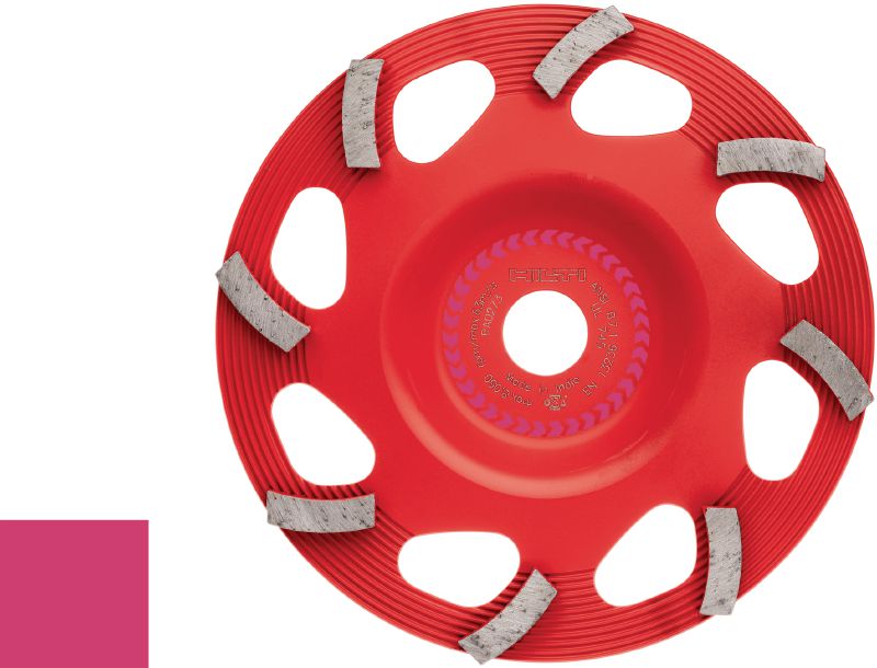 SPX dimanta slīpēšanas disks pārklājuma noņemšanai (saderīgs ar DG/DGH 150) Izcils dimanta slīpēšanas disks dimanta slīpēšanas instrumentam DG/DGH 150 – plānu pārklājumu, piemēram, krāsas un līmes noņemšanai.