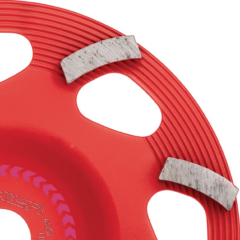 SPX dimanta slīpēšanas disks pārklājuma noņemšanai (saderīgs ar DG/DGH 150) Izcils dimanta slīpēšanas disks dimanta slīpēšanas instrumentam DG/DGH 150 – plānu pārklājumu, piemēram, krāsas un līmes noņemšanai.
